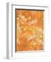 Many Soaring Dragonflies-Bee Sturgis-Framed Art Print