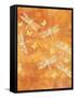 Many Soaring Dragonflies-Bee Sturgis-Framed Stretched Canvas