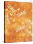 Many Soaring Dragonflies-Bee Sturgis-Stretched Canvas