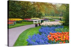 Many Spring Flowers in Many Colors-Colette2-Stretched Canvas