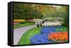 Many Spring Flowers in Many Colors-Colette2-Framed Stretched Canvas