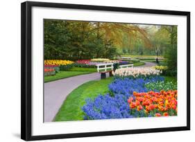 Many Spring Flowers in Many Colors-Colette2-Framed Photographic Print