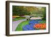 Many Spring Flowers in Many Colors-Colette2-Framed Photographic Print