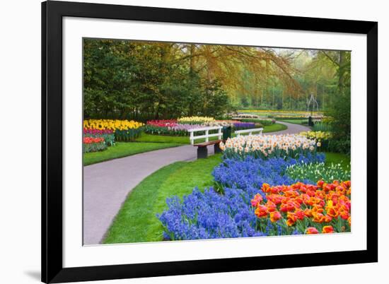 Many Spring Flowers in Many Colors-Colette2-Framed Photographic Print