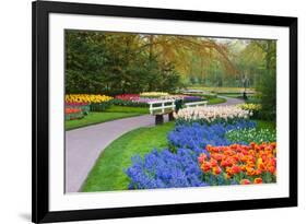 Many Spring Flowers in Many Colors-Colette2-Framed Photographic Print