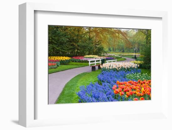 Many Spring Flowers in Many Colors-Colette2-Framed Photographic Print