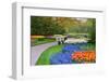 Many Spring Flowers in Many Colors-Colette2-Framed Photographic Print