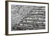 Many Steps-Andrew Geiger-Framed Giclee Print