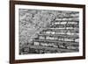 Many Steps-Andrew Geiger-Framed Giclee Print