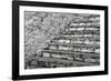 Many Steps-Andrew Geiger-Framed Giclee Print