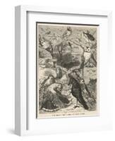 Many Varieties of Birds Gather for the Funeral of Cock Robin-null-Framed Art Print
