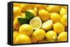 Many Whole Lemons with One Halved (Full Frame)-Foodcollection-Framed Stretched Canvas
