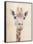 Manyara-Rachael Hale-Framed Stretched Canvas