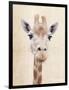 Manyara-Rachael Hale-Framed Premium Giclee Print