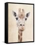 Manyara-Rachael Hale-Framed Stretched Canvas