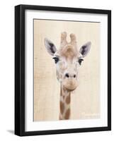 Manyara-Rachael Hale-Framed Art Print