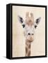 Manyara-Rachael Hale-Framed Stretched Canvas