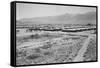 Manzanar from Guard Tower, Summer Heat-Ansel Adams-Framed Stretched Canvas