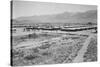 Manzanar from Guard Tower, Summer Heat-Ansel Adams-Stretched Canvas
