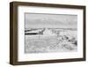 Manzanar Relocation Center from Guard Tower, view west , 1943-Ansel Adams-Framed Photographic Print