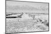 Manzanar Relocation Center from Guard Tower, view west , 1943-Ansel Adams-Mounted Photographic Print