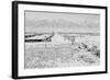 Manzanar Relocation Center from Guard Tower, view west , 1943-Ansel Adams-Framed Photographic Print