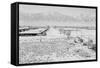 Manzanar Relocation Center from Guard Tower, view west , 1943-Ansel Adams-Framed Stretched Canvas