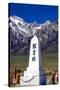 Manzanar Remembrance I-Douglas Taylor-Stretched Canvas