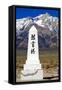 Manzanar Remembrance II-Douglas Taylor-Framed Stretched Canvas