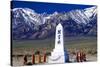 Manzanar Remembrance III-Douglas Taylor-Stretched Canvas