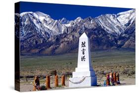 Manzanar Remembrance III-Douglas Taylor-Stretched Canvas