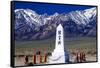 Manzanar Remembrance III-Douglas Taylor-Framed Stretched Canvas