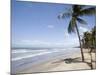 Manzanilla Beach, Trinidad, Caribbean-Diane Johnson-Mounted Photographic Print