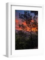 Manzanita Sunrise Design, Epic Sunrise Color Over Mount Diablo, Oakland, Bay Area-Vincent James-Framed Photographic Print