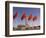 Mao Tse-Tung Memorial and Monument to the People's Heroes, Tiananmen Square, Beijing, China-Adam Tall-Framed Photographic Print