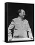 Mao Zedong, Chinese Communist Revolutionary and Leader, C1950S-C1960S-null-Framed Stretched Canvas