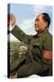 Mao Zedong, Chinese Communist Revolutionary and Leader, C1950S-C1960S-null-Stretched Canvas