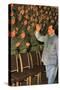 Mao Zedong, Chinese Communist Revolutionary and Leader, C1960S-C1970S-null-Stretched Canvas