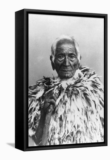 Maori Chief-null-Framed Stretched Canvas