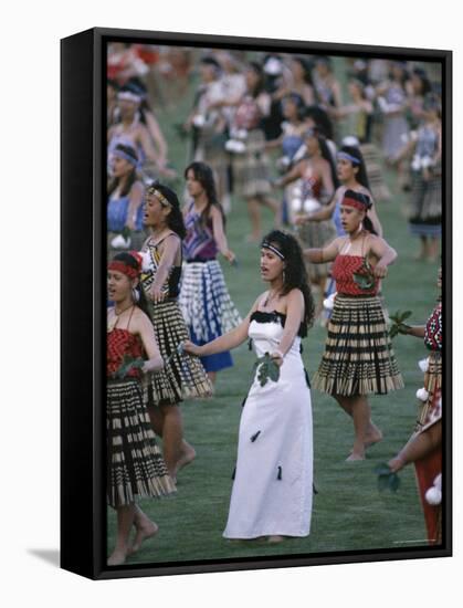 Maoris Perform Traditional Action Songs, Auckland, North Island, New Zealand-Julia Thorne-Framed Stretched Canvas