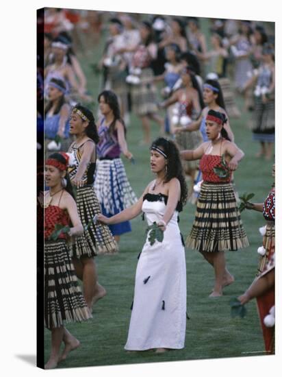 Maoris Perform Traditional Action Songs, Auckland, North Island, New Zealand-Julia Thorne-Stretched Canvas