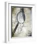 Map 2-Karen Williams-Framed Giclee Print