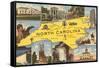 Map and Scenes of North Carolina-null-Framed Stretched Canvas