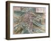 Map and View of Perugia from Civitates Orbis Terrarum-null-Framed Giclee Print