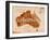 Map Australia Retro-anna42f-Framed Art Print