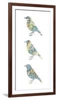 Map Birds-Sasha Blake-Framed Giclee Print