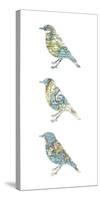 Map Birds-Sasha Blake-Stretched Canvas