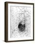 Map Compass-null-Framed Photographic Print