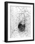 Map Compass-null-Framed Photographic Print