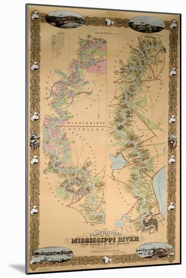 Map Depicting Plantations on the Mississippi River from Natchez to New Orleans, 1858-null-Mounted Giclee Print